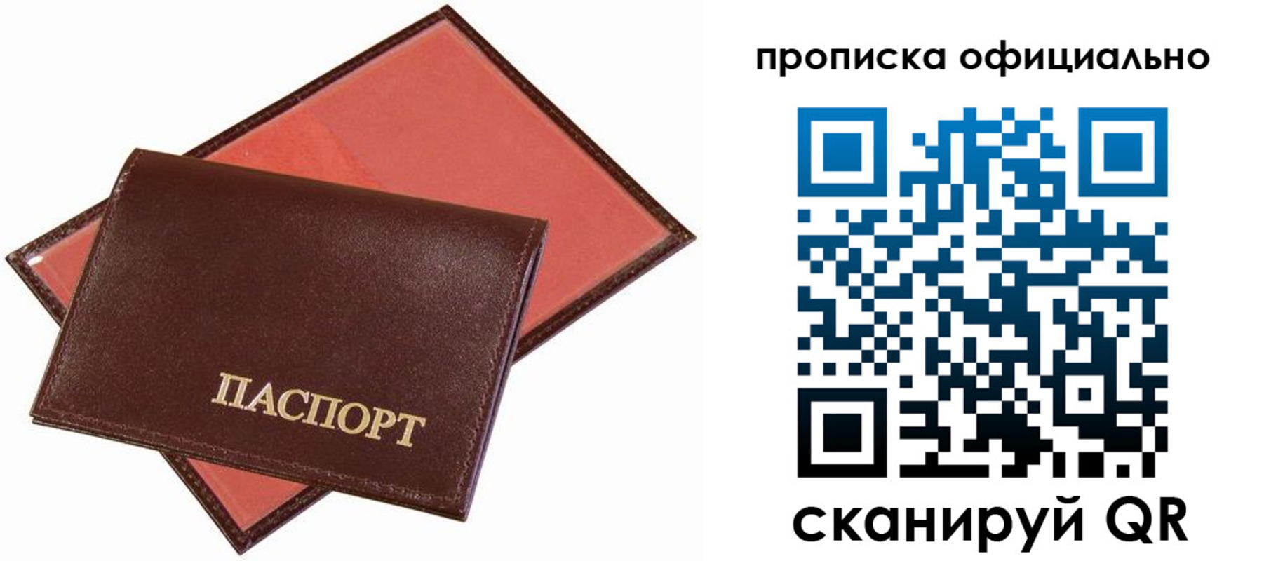 временная регистрация гарантия в Волгограде